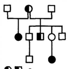 Генеалогический метод изучения закономерностей наследования признаков человека Генеалогический метод используемый в генетике человека
